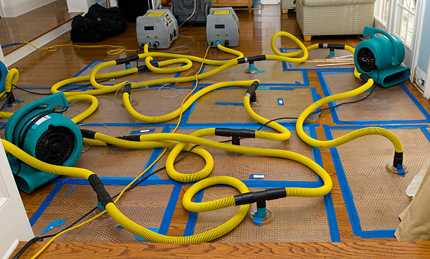Professional Basement Flood Cleanup technician working in Yaphank, NY